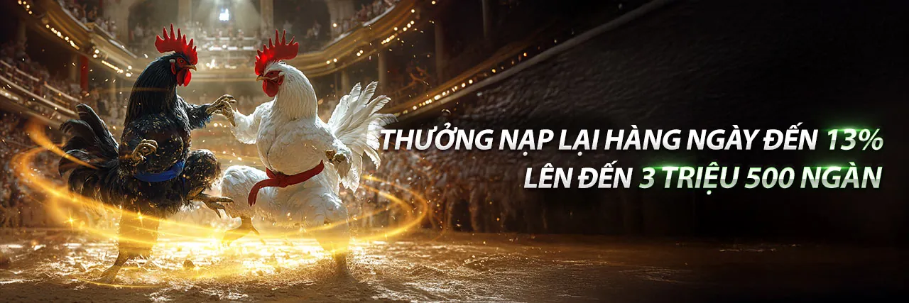 Hình ảnh đại diện cho Điều khoản và Điều kiện của rc88 link mới