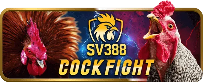 Biểu đồ tăng trưởng với tỷ lệ cược cạnh tranh RC88 link mới